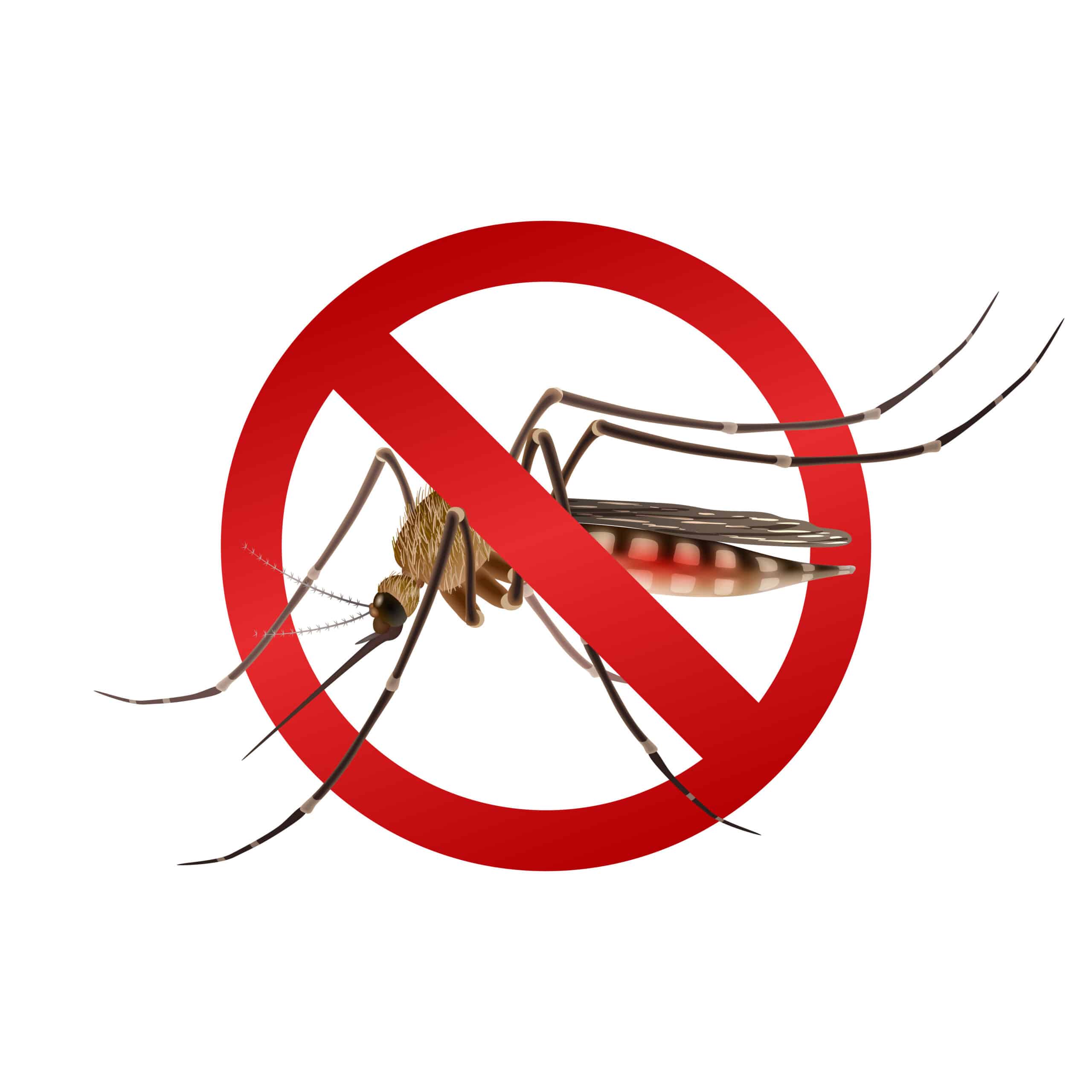 Mosquito control services in Doha Qatar